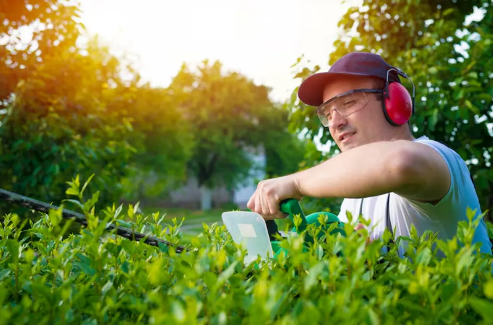 Outdoor and specialty services in Dubai — EnergiaWorks